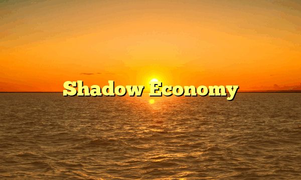 Shadow Economy